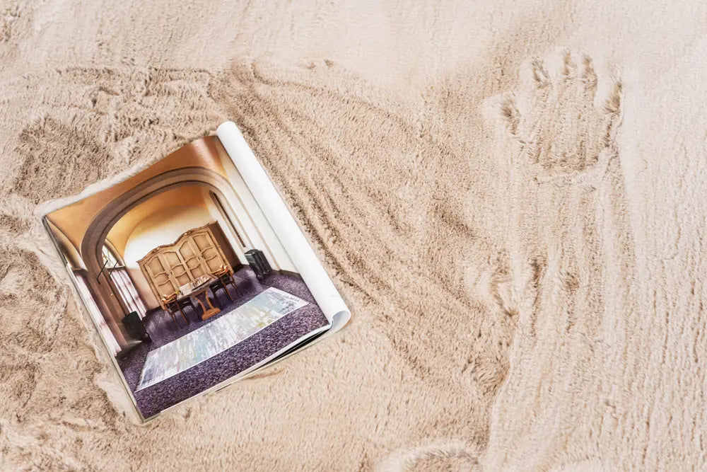 Carpet PIERRE CARDIN SOFTLINE Camel