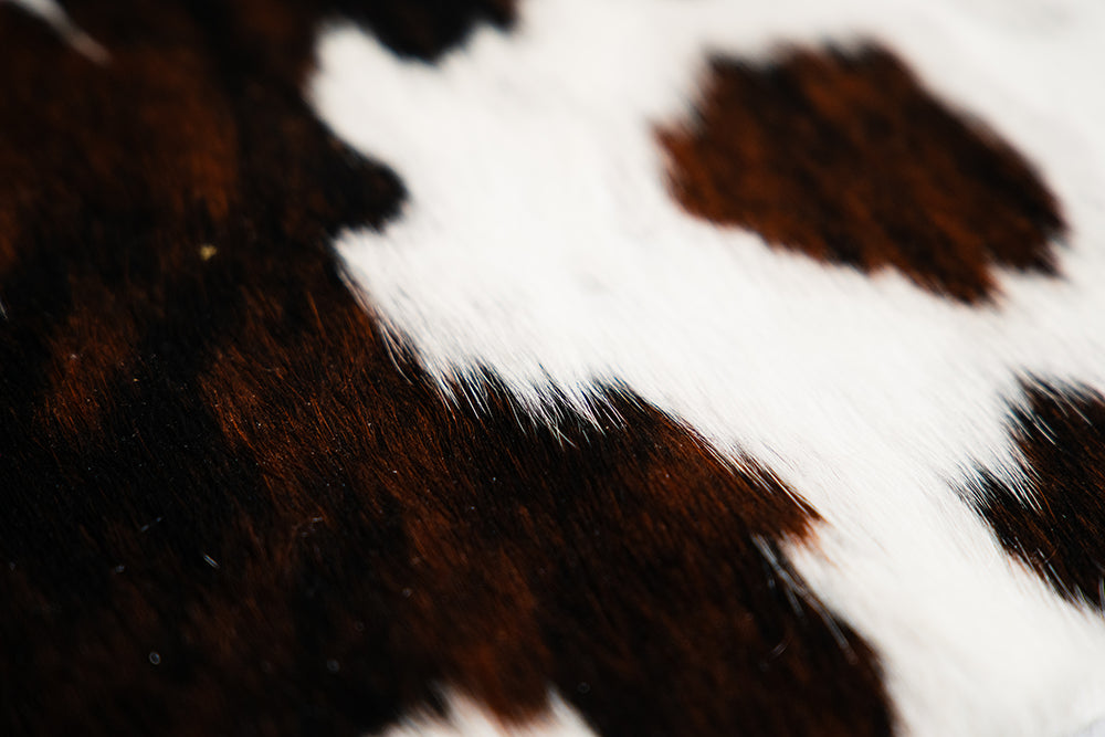 BOVINA Timeless Monochrome rug