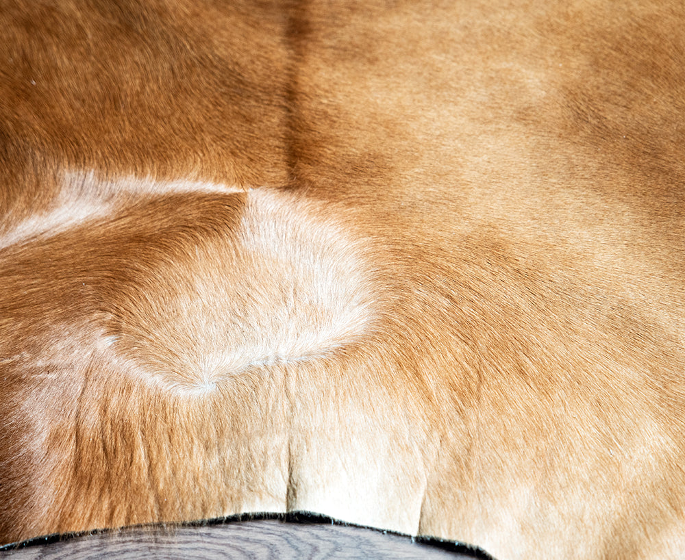 Carpet BOVINA Desert Elegance