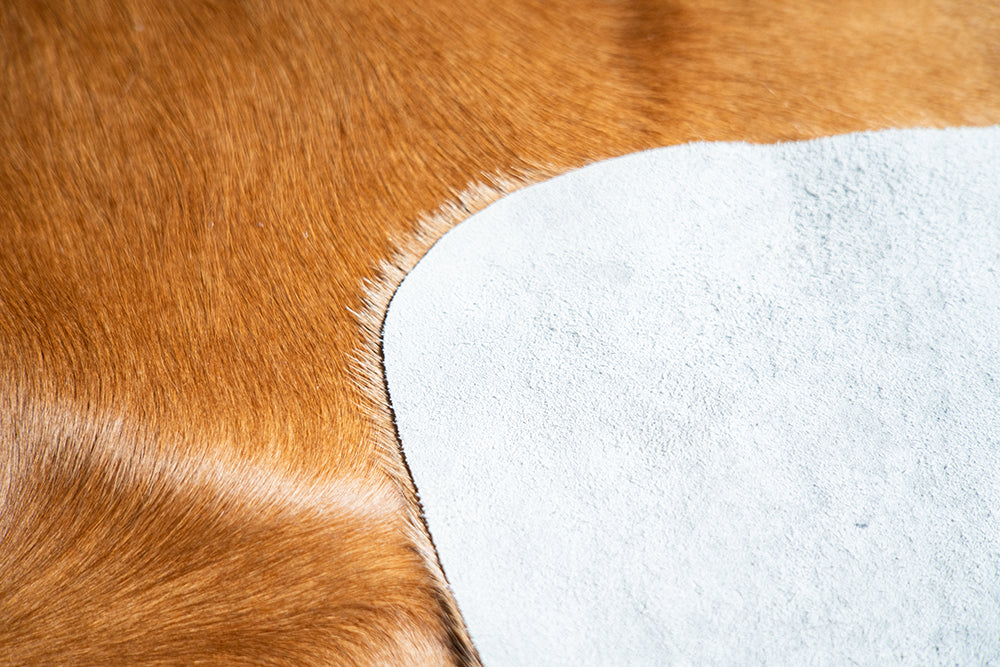 Carpet BOVINA Desert Elegance