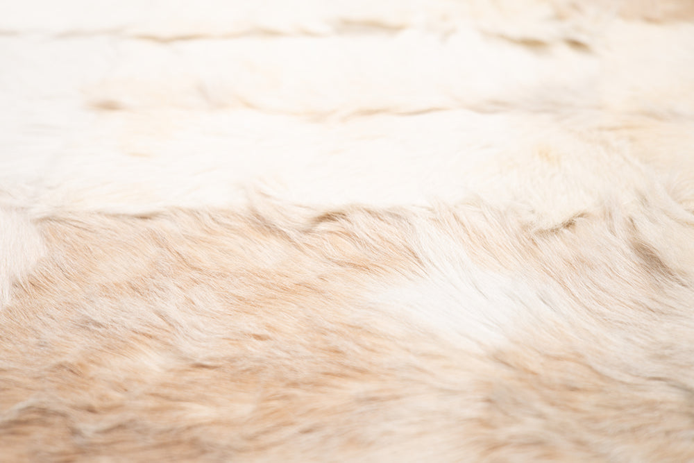 Covor IED Summer Patch