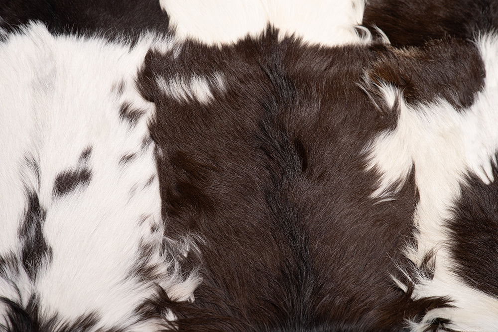 Covor IED Coffee Collage