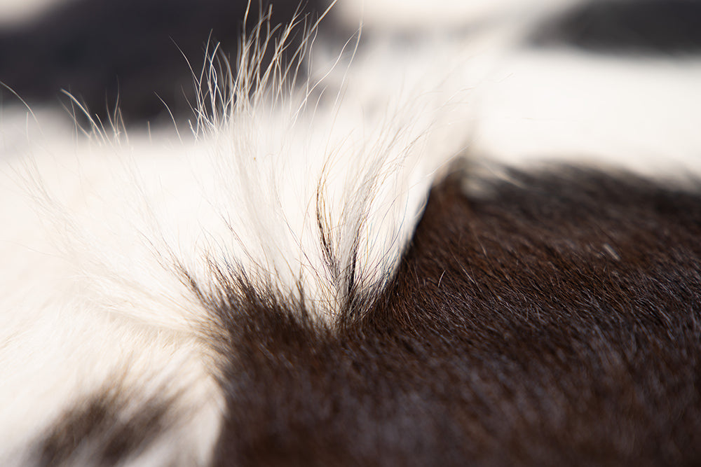 Covor IED Coffee Collage