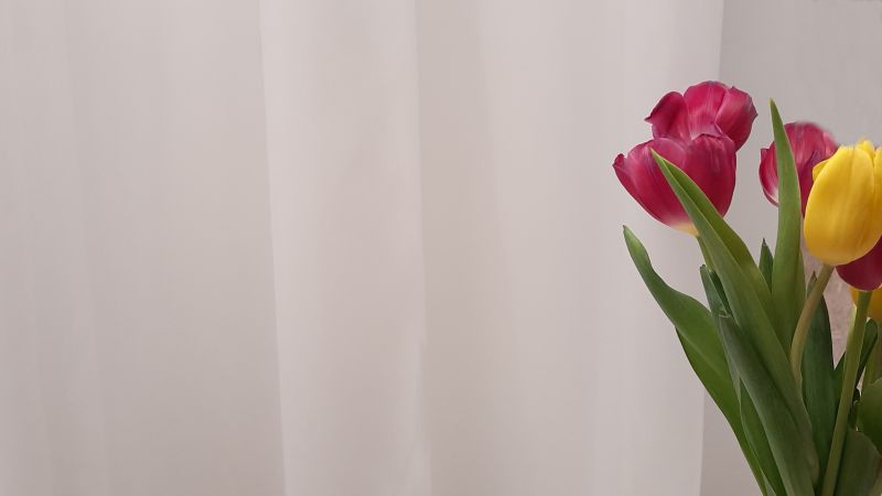 Perdea FR 1090/01, voal, alb, simplu