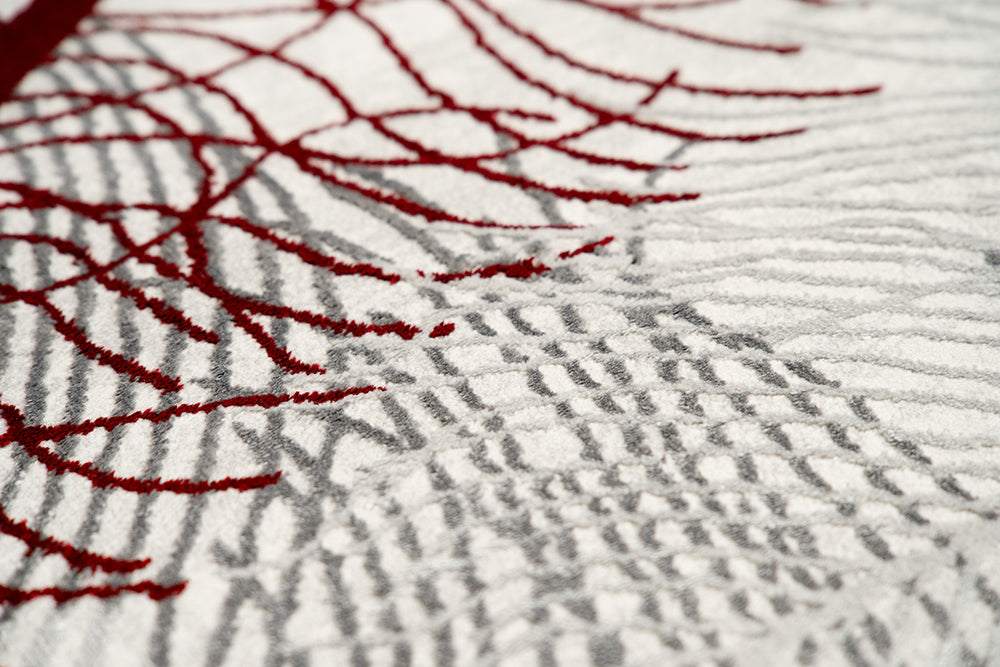 Covor ALLURE Avian Elegance