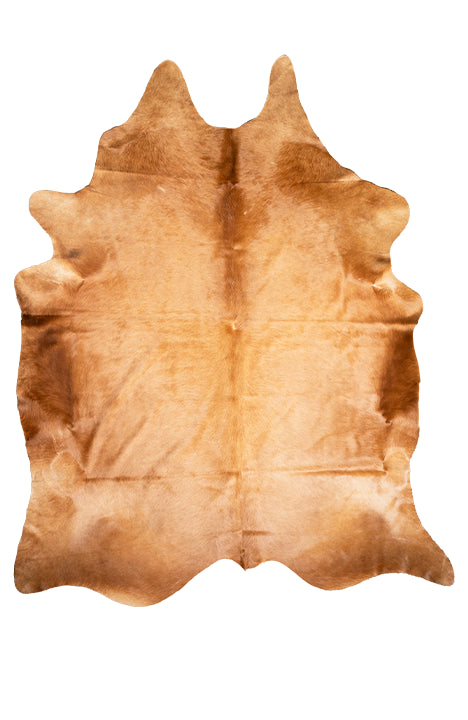 Carpet BOVINA Desert Elegance