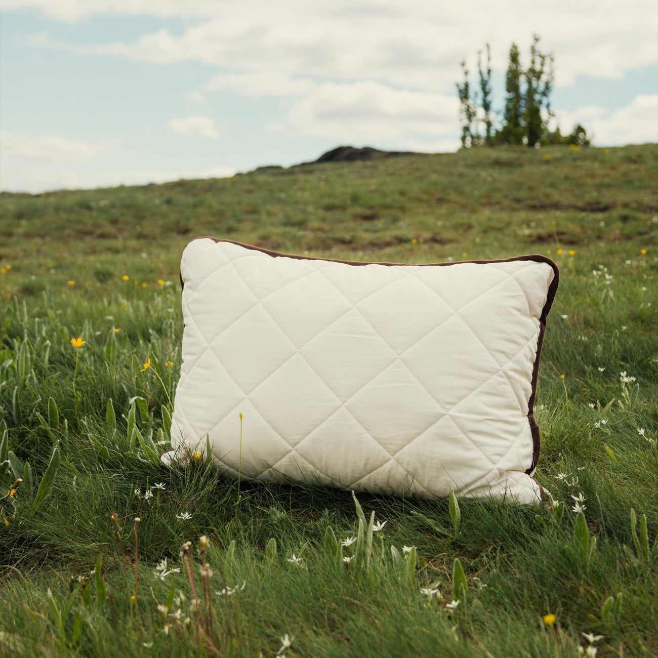 Perna confortabila NATURAL cu husa din 100% bumbac natural netratat